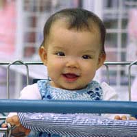 Supermarket Toddler Shopping